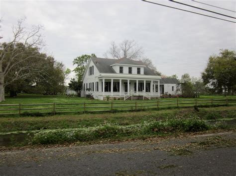 Creedmoor Plantation Film St Bernard