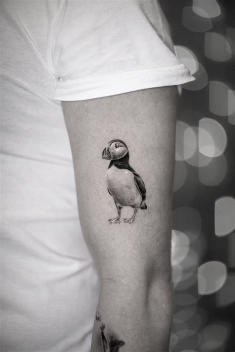 Puffin Tattoo New Tattoos Cool Tattoos Tattoo Roma Tattoo Master