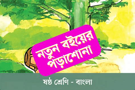 ষষ্ঠ শ্রেণির নতুন বই বাংলা অধ্যায় ১ সর্বনাম ও ক্রিয়ার রুপভেদ