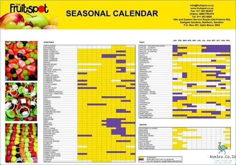 Exploring South African Seasons A Guide July 2025 Aswicacoza