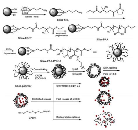 Polymers Special Issue Precision Polymer Synthesis