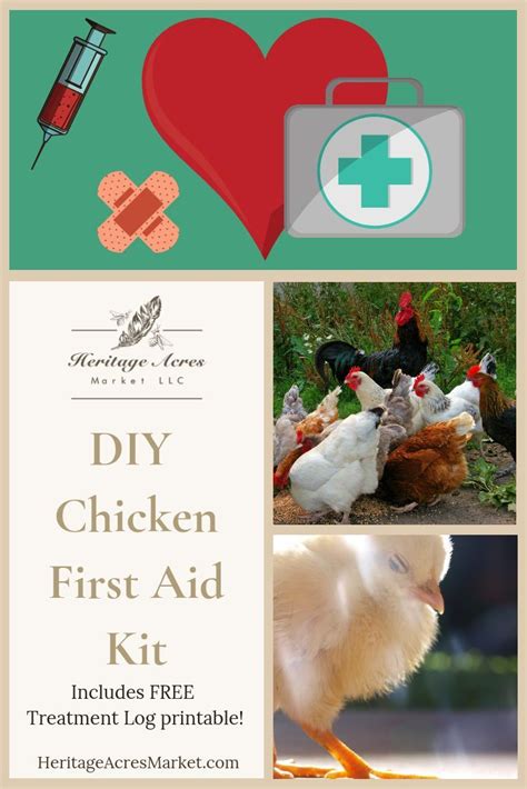 Diy Chicken First Aid Kit Chickens Backyard Chicken Diy Backyard