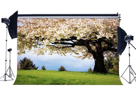 Abphoto Polyester X Ft Photography Backdrop Wedding Cherry Blossom