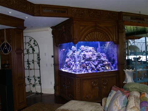 Custom Triangle Built In Reef Aquarium 450 Gal