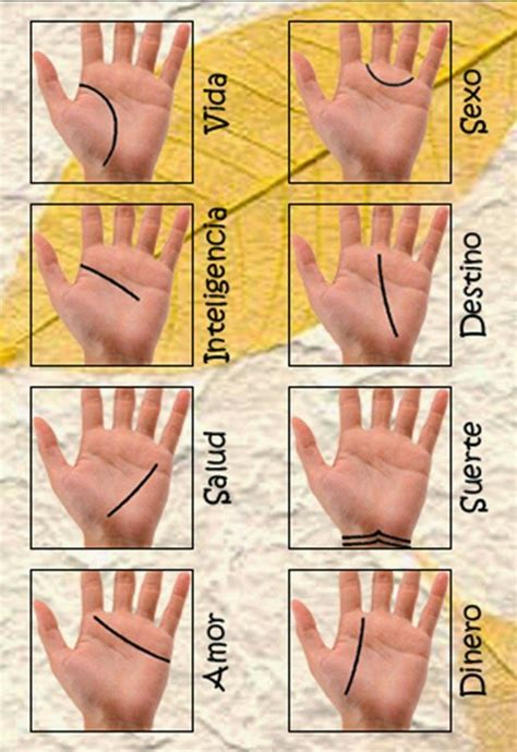 El Significado De Las Lineas De Las Manos Nueva Mentes Leer La