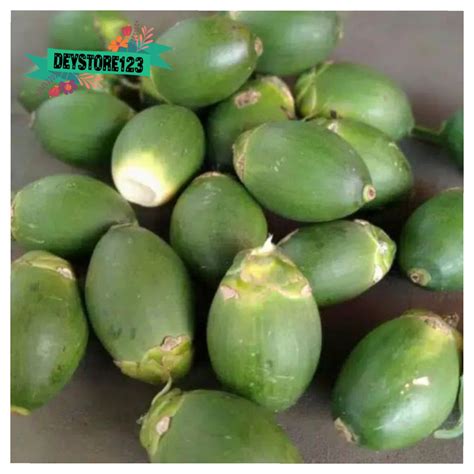 Jual Buah Pinang Muda Segar Per 1 Kg Shopee Indonesia