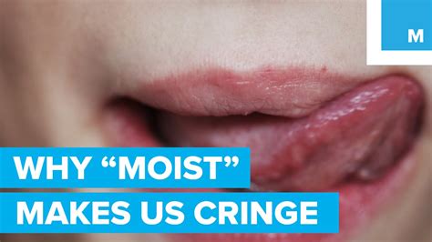 Why The Word Moist Makes People Cringe Sharp Science Youtube