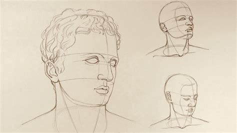 Proportions Of The Head Anatomy Master Class Youtube