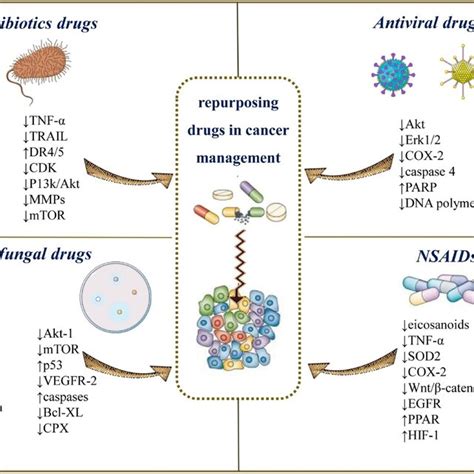 Schematic Representation Of The Most Representative Drug Clases Used As