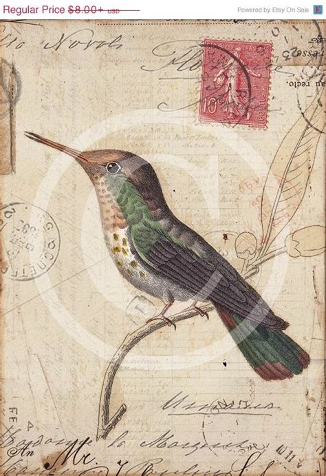 Vintage Hummingbird Collage Print Trochilus Por 1001treasures Print