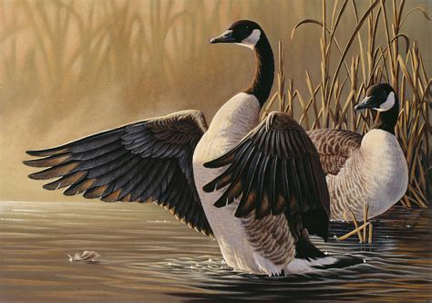 1994 Canada Geese Painting By Wilhelm Goebel Pixels