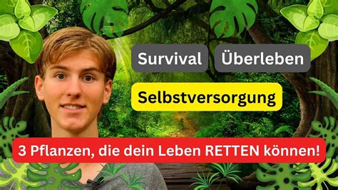 Wildkr Uter Survival Lerne Wie Du Mit Der Natur Berlebst Dich In