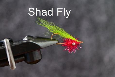 Shad Flies 3 Saltwater Custom Flies