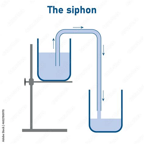 Simple Liquid Siphon Physics Principles Siphon Water From Lower Level