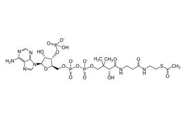 Acetyl Coenzyme A Trisodium Salt Impurities Pharmaffiliates