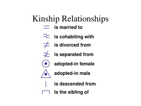 PPT - Kinship Dynamics PowerPoint Presentation, free download - ID:243440