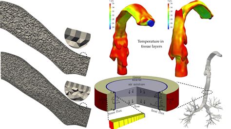 hygroscopicity ucy compsci