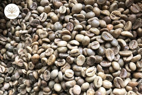 Vietnamese Wet Polished Robusta Coffee Scr Scr Daklak Vietnam