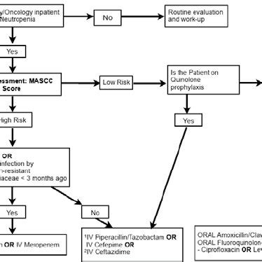 A Algorithm For The Initial Management Of Febrile Neutropenia