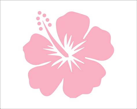 Free 160 Cricut Hawaiian Flower Svg Free Svg Png Eps Dxf File