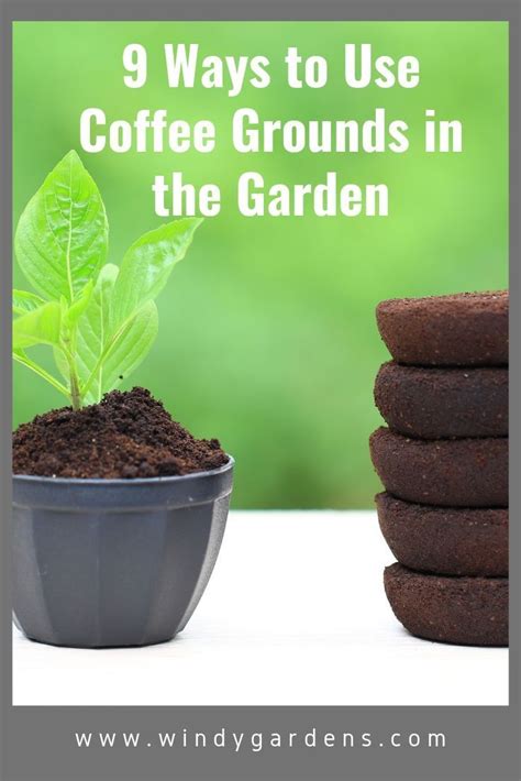 How To Use Coffee Grounds In The Garden Artofit