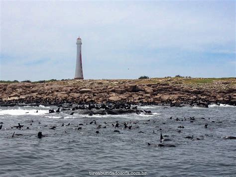 O Que Fazer Em Punta Del Este Roteiro Na Melhor Praia Do Uruguai