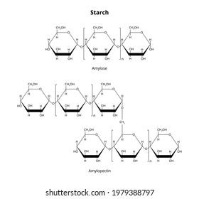 Saccharides Images Stock Photos Vectors Shutterstock