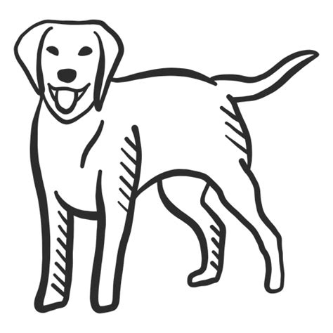 Design Png E Svg De Rabo De Cachorro Cachorro Rabo De Língua Orelha