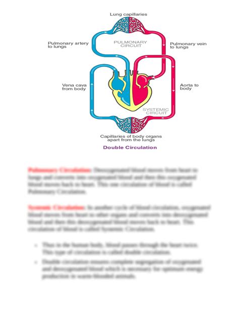 Solution Transportation Double Circulation In Human Body Studypool