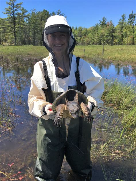 Ontario’s smallest wetlands are disappearing | The Narwhal