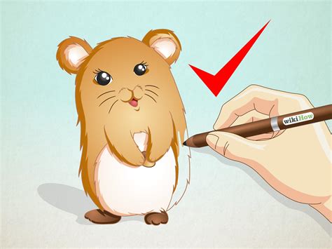 How To Draw A Hamster 15 Steps With Pictures Wikihow