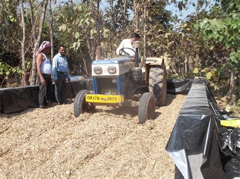 Silage Demonstration | Samaleswari Regional Cooperative Milk Producers ...