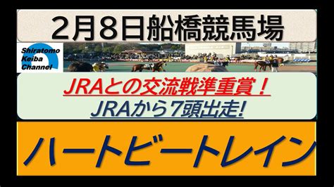 【競馬予想】準重賞・ハートビートレイン Jraとの地方交流戦！～2024年2月8日 船橋競馬場 ：2－16 Youtube