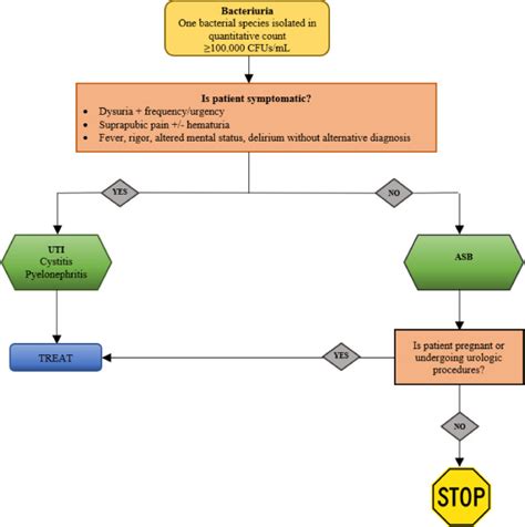 Asymptomatic Bacteriuria Prevalence Diagnosis Management And