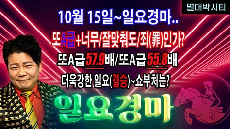 10월 15일 일요경마 결승전에 숨겨진 복병이 더 많습니다 지난주도 결승 일 A급57 9배 55 8배 22 3배등등 어제도