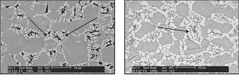 Microestructura De Un Acero Inoxidable D Plex Saf A Condici N De