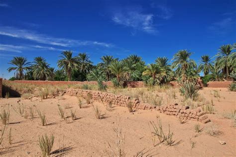 An Oasis in the Sahara Desert in the Heart of Africa Stock Photo ...