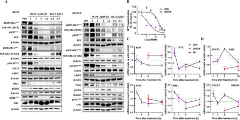 Jkst6 Blocks The Bcr Abl1 Stat5 Signaling Pathway And Downstream Target Download Scientific