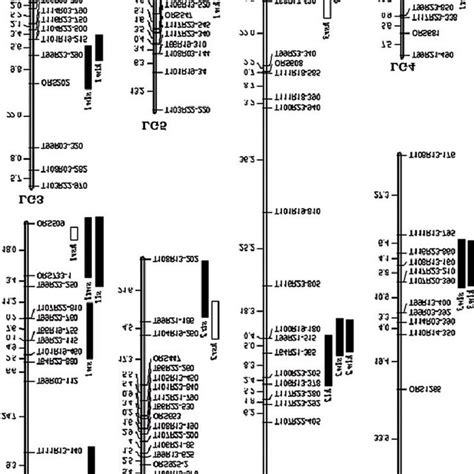 A The Genetic Linkage Map And Locations Of The QTL Detected In Both