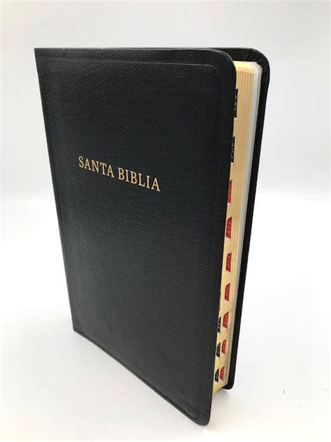 BIBLIA CON REFERENCIAS ESPECIALES RVR 1960 Negro Piel Fabricada Con