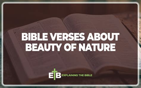 30 Bible Verses About Beauty Of Nature Explained Explaining The Bible