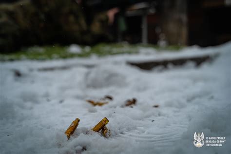 Kolejne Strzelanie Szkolenia Podstawowego Wojsko Polskie Pl