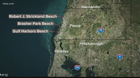 Water quality advisory issued for 3 Pasco beaches | wtsp.com