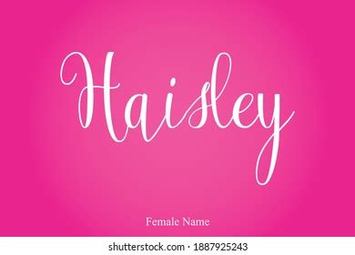 Haisley Female Name Cursive Calligraphy Text Stock Vector Royalty Free