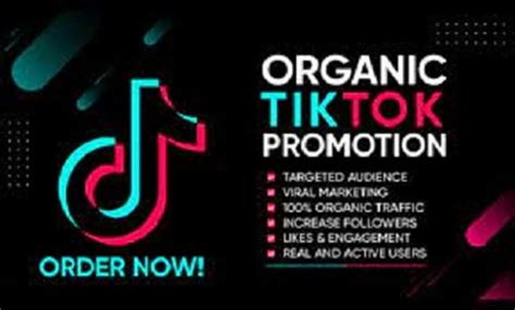 Do Tiktok Organic Promotion Tiktok Influencer With Million Followers