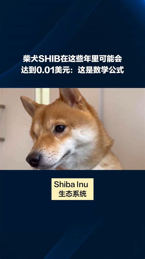 柴犬shib在这些年里可能会达到001美元：这是数学公式 海绵进化论 On Binance Square