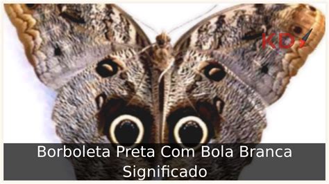 Borboleta Preta Bola Branca Significado Descubra Tudo Sobre