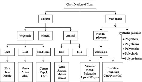 Classification of fibers. | Download Scientific Diagram