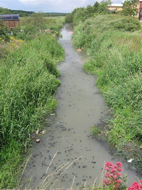 BALLYHORNAN RIVER POLLUTION 2008 Quoile – Lecale Conservation Association