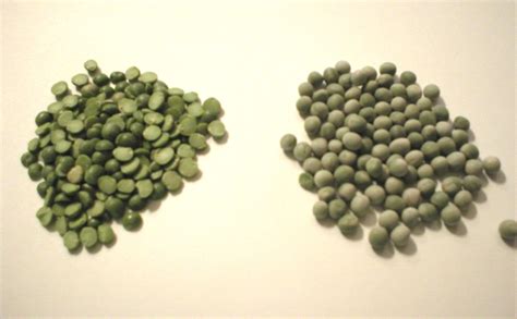 whole dried peas vs split peas